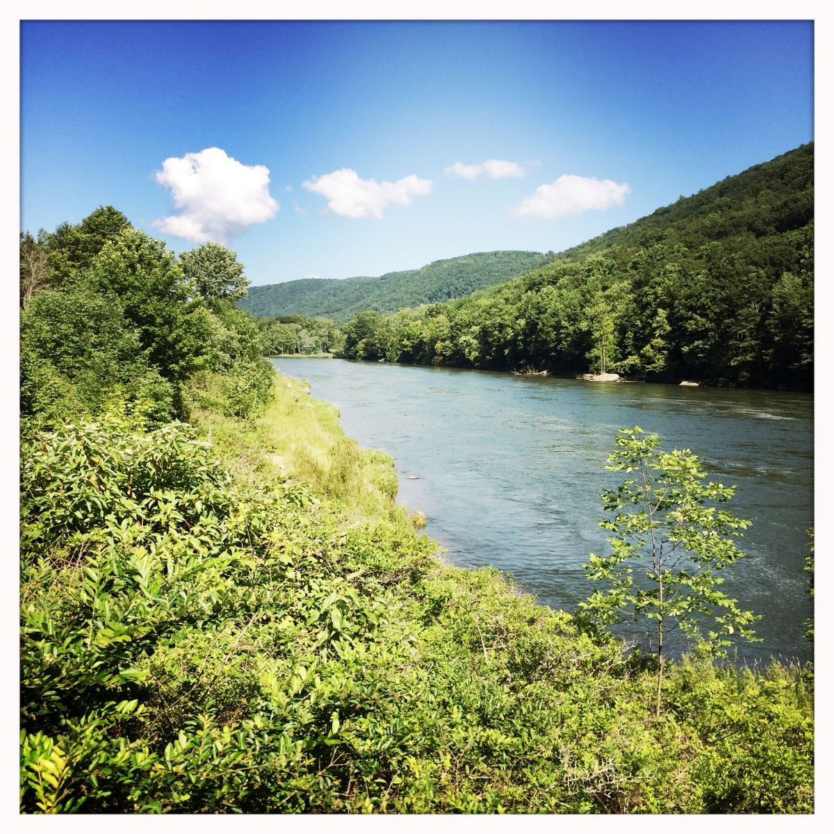 Allegheny River During the Day