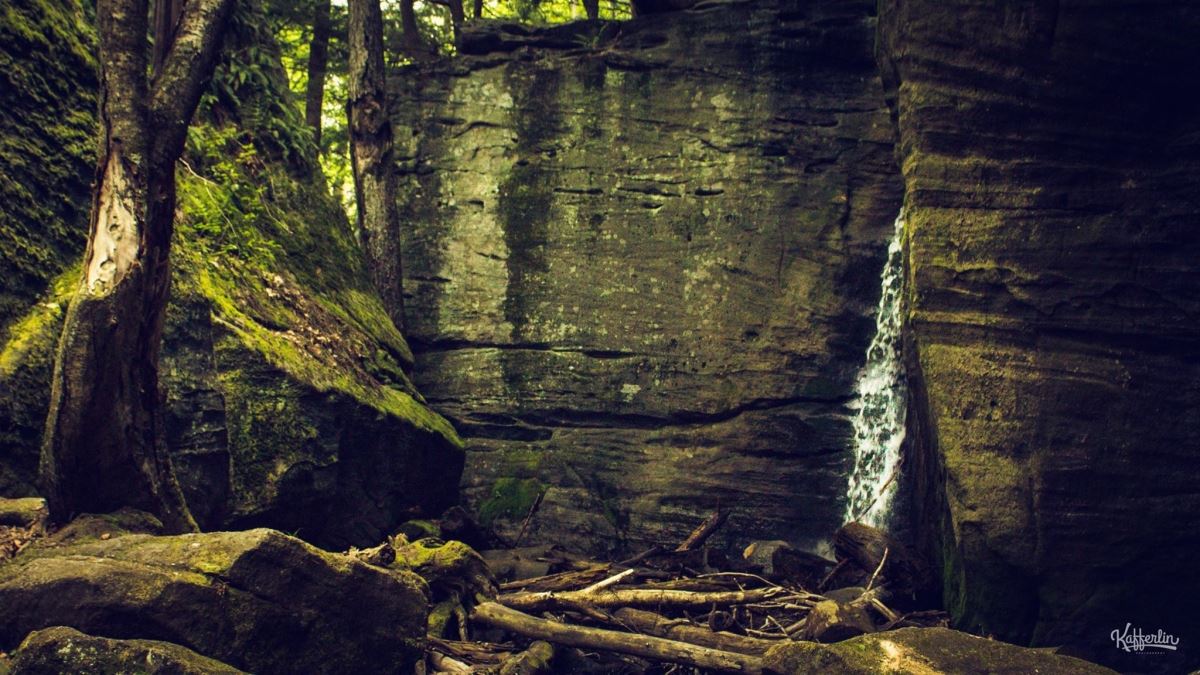 Rock Face Beside Hector Falls